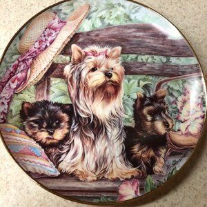 Yorkie Dogs Display Plate signed by M. Cleaver
